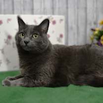Thumbnail photo of Esmeralda #1