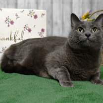 Thumbnail photo of Esmeralda #2
