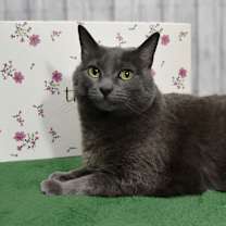 Thumbnail photo of Esmeralda #3