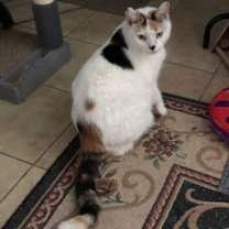 Thumbnail photo of Cindy #3