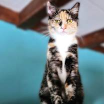 Thumbnail photo of Betina #1