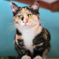 Thumbnail photo of Betina #3