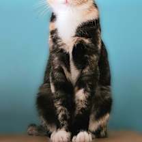 Thumbnail photo of Betina #4