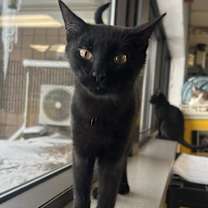 Thumbnail photo of Beck #2