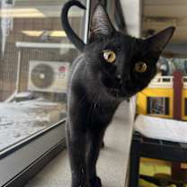 Thumbnail photo of Beck #3