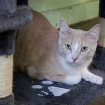 Thumbnail photo of Graham #2