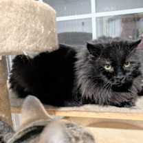 Thumbnail photo of Tony #2