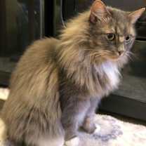 Thumbnail photo of Dex #2