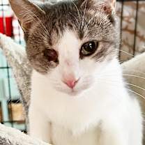 Thumbnail photo of Alice Q #2