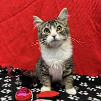 Thumbnail photo of Billy #1
