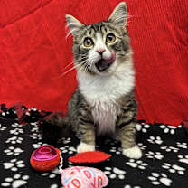 Thumbnail photo of Billy #2