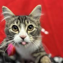 Thumbnail photo of Billy #3