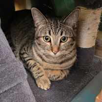 Thumbnail photo of Sage #1