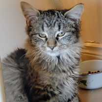 Thumbnail photo of Ryley #2