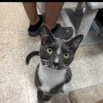 Thumbnail photo of Bubba #1