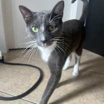 Thumbnail photo of Bubba #2