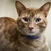 Thumbnail photo of Rodger #1
