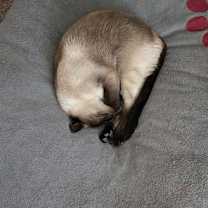 Thumbnail photo of Fred #4