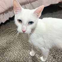 Thumbnail photo of Beatrice #3