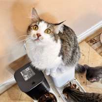 Thumbnail photo of Versace #4