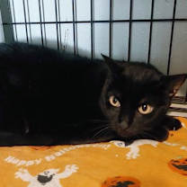 Thumbnail photo of Stormy #1