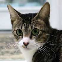 Thumbnail photo of T.G. #1