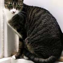 Thumbnail photo of T.G. #3