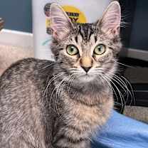 Thumbnail photo of Lola (with Coco) #2