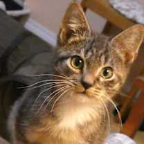 Thumbnail photo of Evan #2