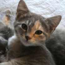 Thumbnail photo of Eva #1