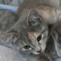 Thumbnail photo of Eva #3