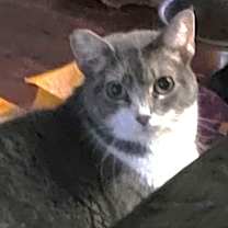 Thumbnail photo of Kinzy #2