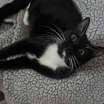 Thumbnail photo of Sugar #1