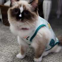 Thumbnail photo of Chloe #2