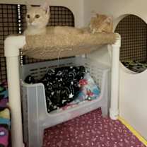 Thumbnail photo of Duffy #2