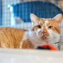 Thumbnail photo of Billy #1