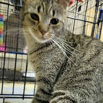 Thumbnail photo of Eddie #1