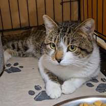 Thumbnail photo of Chuck #1