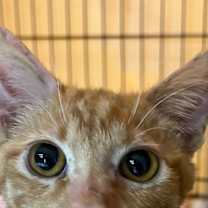 Thumbnail photo of Max #1