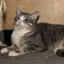 Thumbnail photo of Ricardo #2