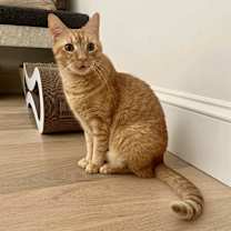 Thumbnail photo of Franklin #1