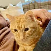 Thumbnail photo of Franklin #2