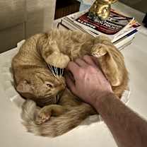 Thumbnail photo of Franklin #3
