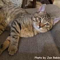 Thumbnail photo of Munchkin #1