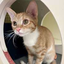 Thumbnail photo of Binkie #4