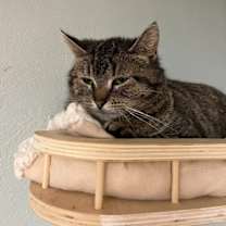 Thumbnail photo of Zen #1