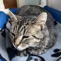 Thumbnail photo of Zen #4