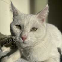 Thumbnail photo of Lucy #1