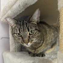 Thumbnail photo of Queenie #4