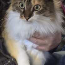 Thumbnail photo of Elvira #2